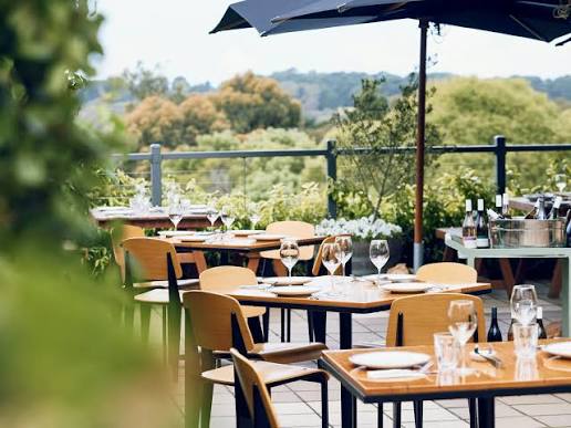 Table set for a long lunch outdoors among vines