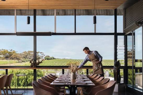 Vineyard terrace set up for outdoor dining