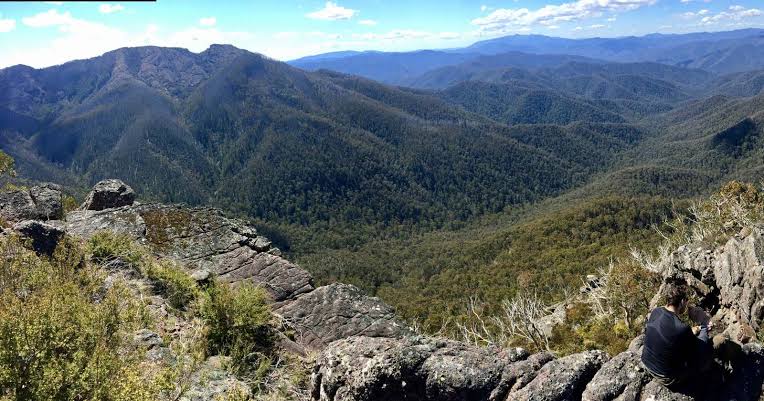 Walking trail along a forested ridge line