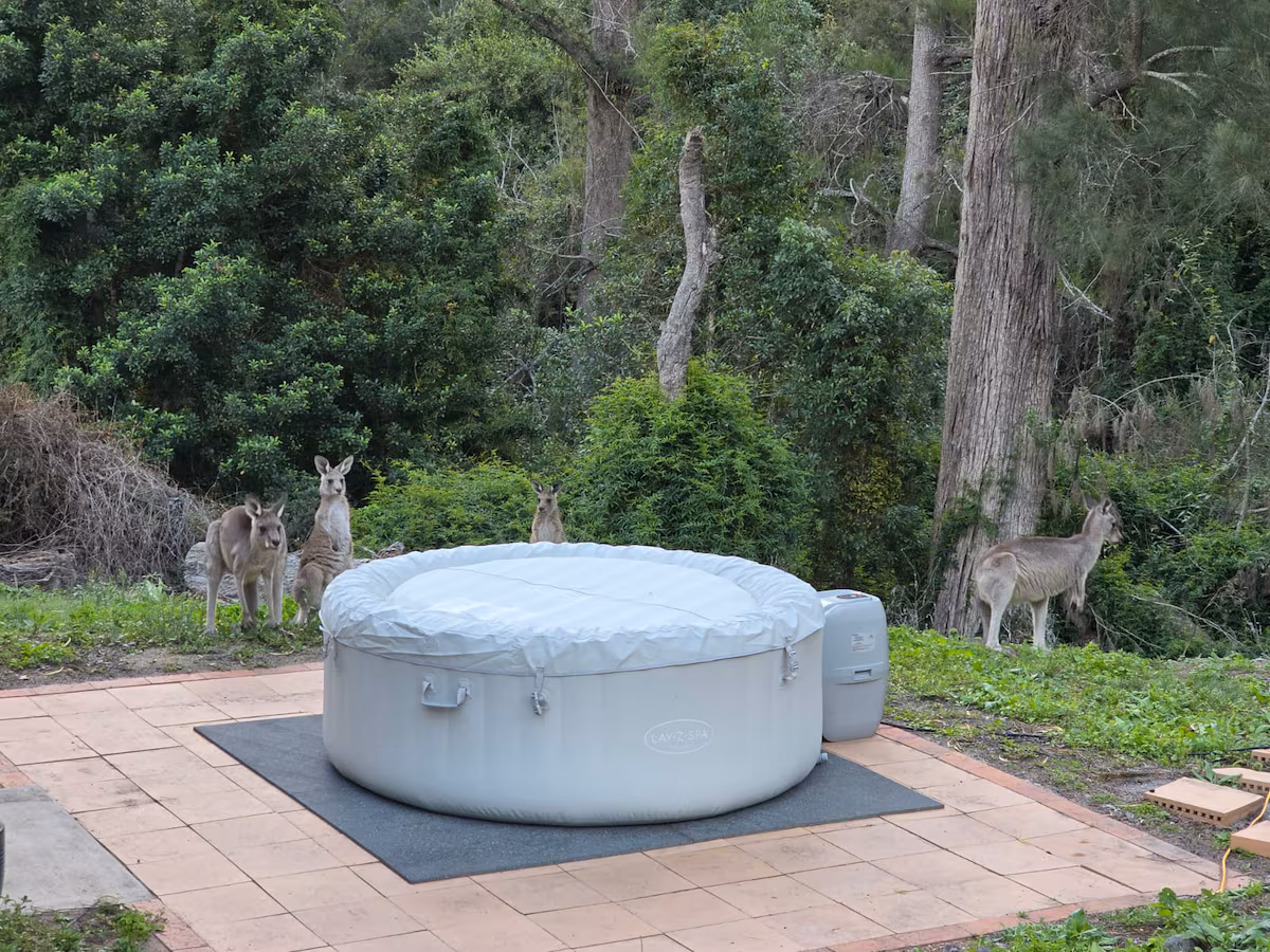 Steam rising from an outdoor thermal pool surrounded by bushland